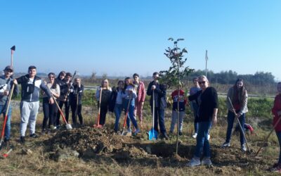 Naši učenici sudjelovali su u akciji „Posadi drvo ne budi panj“