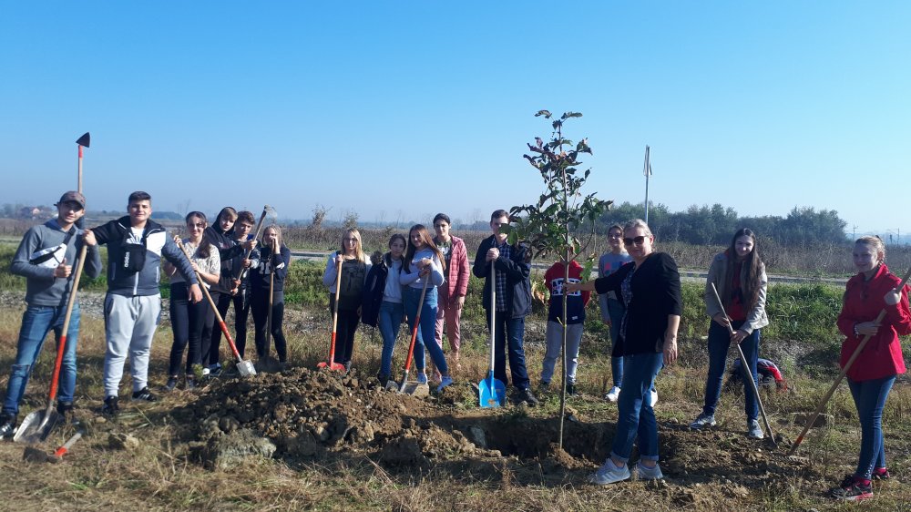 Naši učenici sudjelovali su u akciji „Posadi drvo ne budi panj“