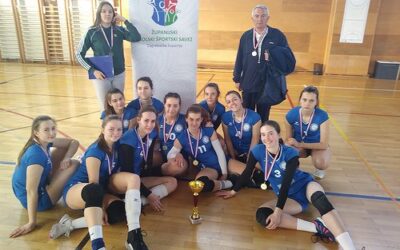 ŽUPANIJSKO NATJECANJE U ODBOJCI