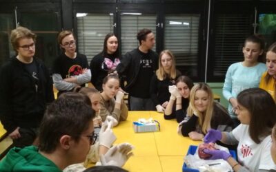 Predavanje i radionica o građi i radu srca