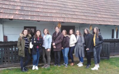 Izvješće o županijskom Natjecanju iz hrvatskoga jezika