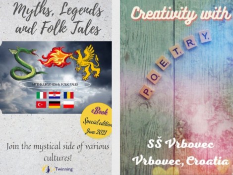 Sjajan uspjeh eTwinning projekata u našoj školi